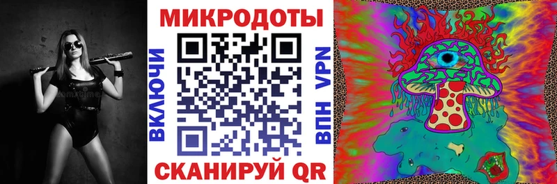 Галлюциногенные грибы Psilocybine cubensis закладка Лихославль